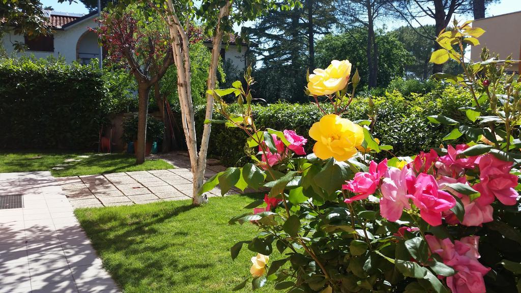 נומאנה A Due Passi Dal Mare B&B מראה חיצוני תמונה
