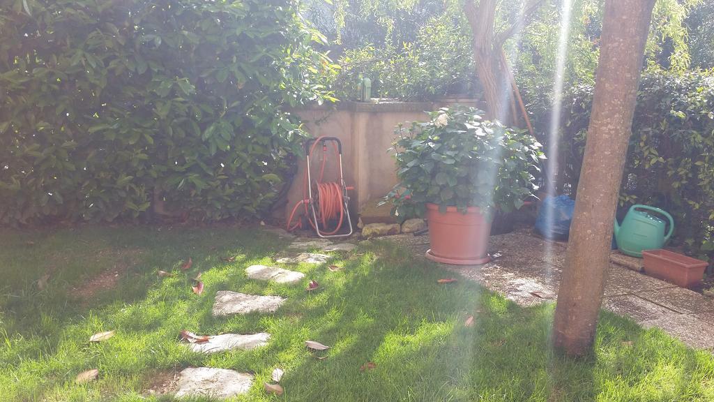 נומאנה A Due Passi Dal Mare B&B מראה חיצוני תמונה